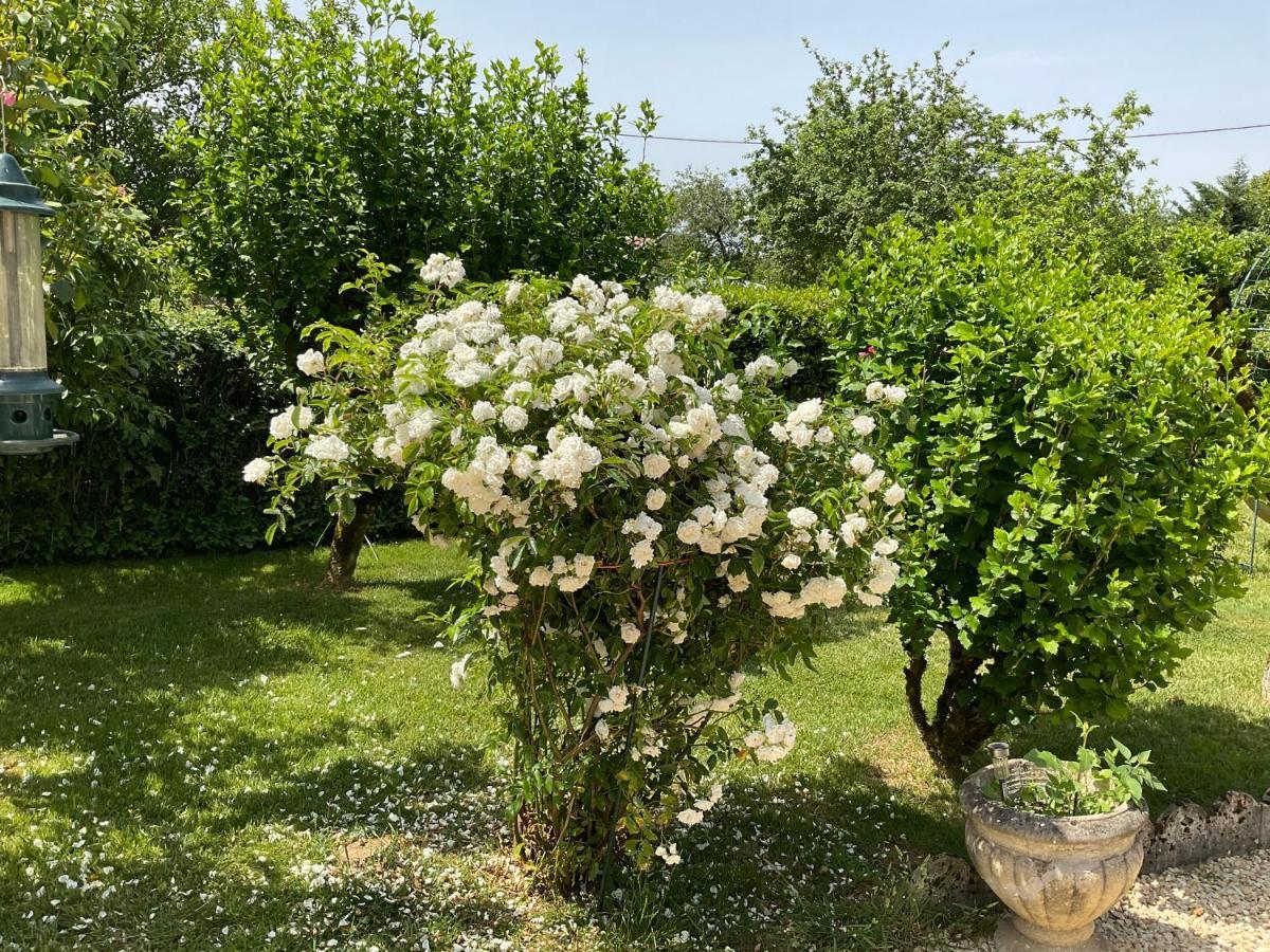 Le Jardin De Rose 24 Feuillebert Romagne 86700 Bed & Breakfast Ngoại thất bức ảnh